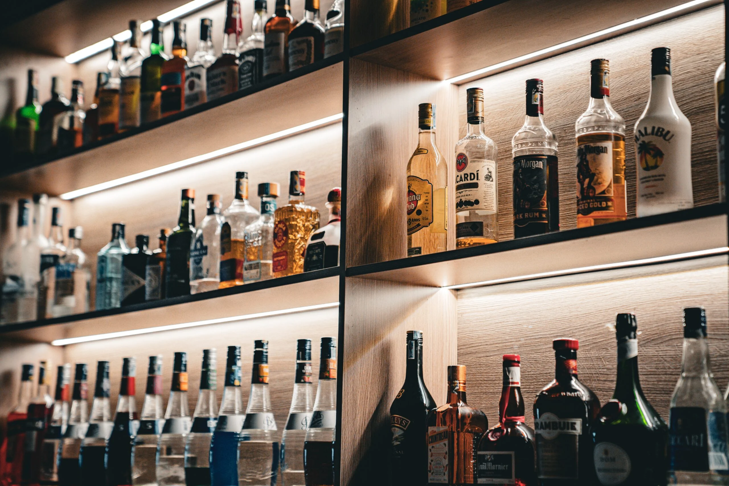 The Bar